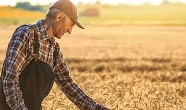 Tarım ÜFE yıllık ve aylık arttı