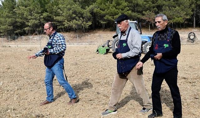 Üreticiye destek için buğday ekimi yapıldı