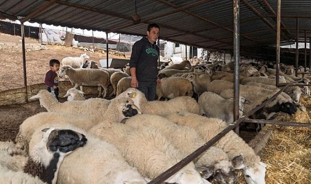 Yangın mağduru çiftçilere 225 ton yem desteği