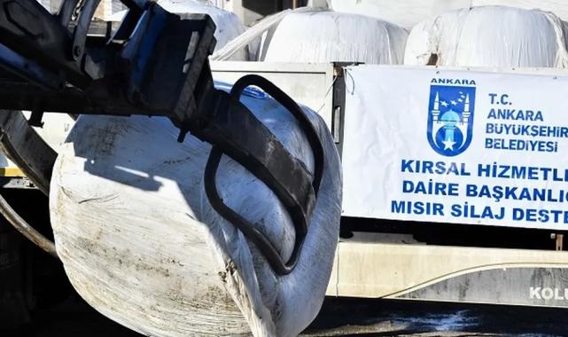 Ankara Kalecikli üreticiye can suyu