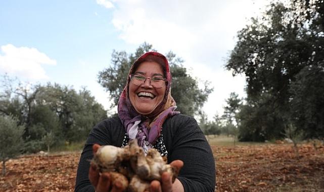 Antalya Büyükşehir Belediyesi 2024 yılında da üreticinin yanında