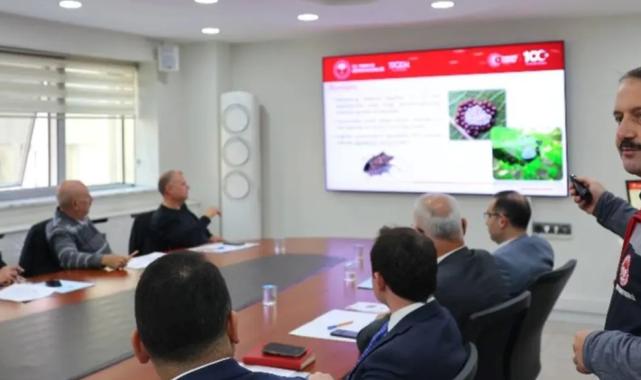 Artvin’de ‘kahverengi kokarca’ tehdidine karşı mücadele