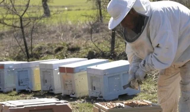 BAÇEM’de uygulamalı arıcılık kursu başlıyor