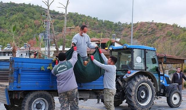 Bahçe atığı toplama programında pilot bölge: Arslanbucak