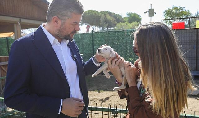 Başkan Duman’dan sahiplendirme çağrısı