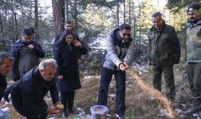 Bilecik’te yaban hayvanlarına Vali şefkati