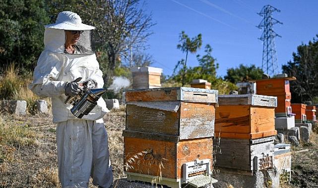 Bornova’da Arıcılık Kursu kayıtları başladı “Kendi balını üret, doğaya katkı sağla”