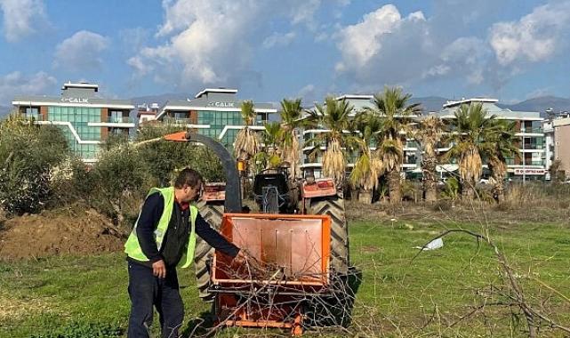 Budanan ağaçlar ihtiyaç sahiplerine yakacak oluyor