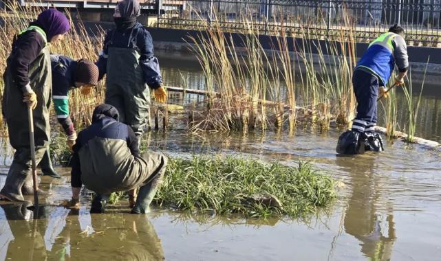 Bursa Büyükşehir’den Gökdere Millet’e bilimsel dokunuş