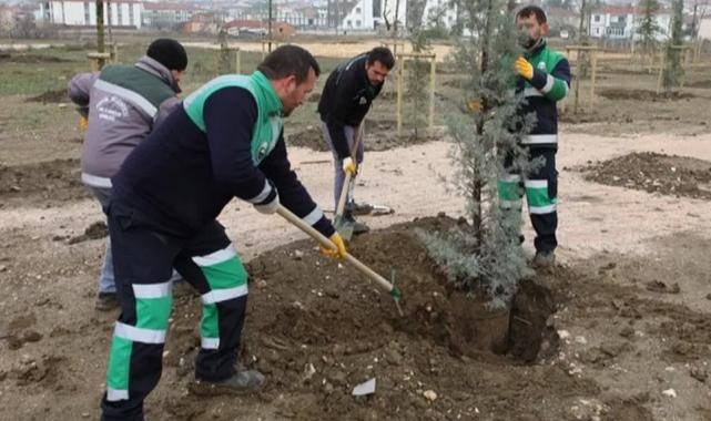 Bursa İnegöl’de 167 fidan toprakla buluştu