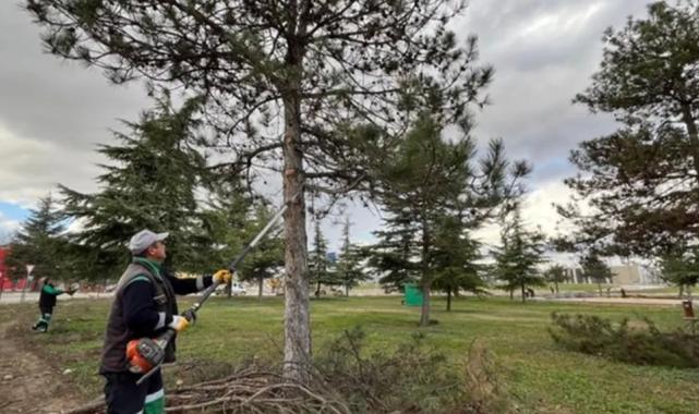 Bursa İnegöl’de yeşil alanlar bakıma alındı