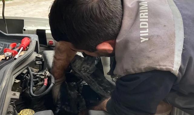 Bursa Yıldırım’da kaputa sıkışan yavru kedi kurtarıldı