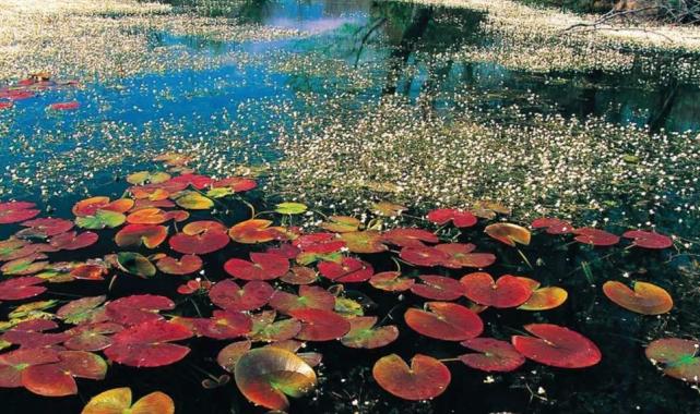 Bursa’da Kocaçay Deltası ‘hassas’ korunacak!