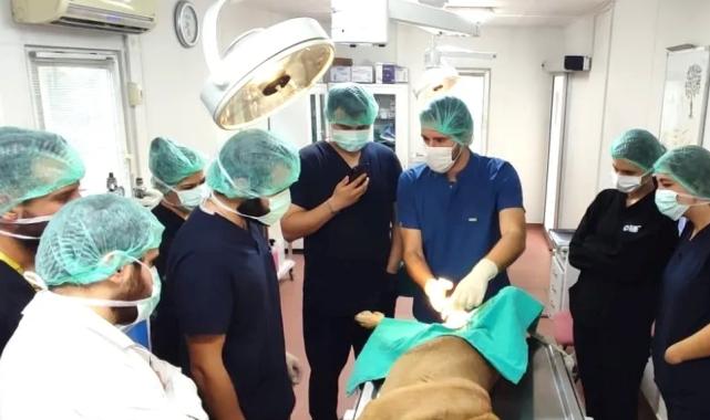 Bursa’da üniversite işbirliğinde 155 can dostu kısırlaştırıldı