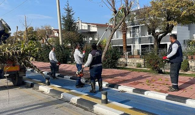 Büyükşehir Kent Genelinde Budama Çalışmalarına Devam Ediyor