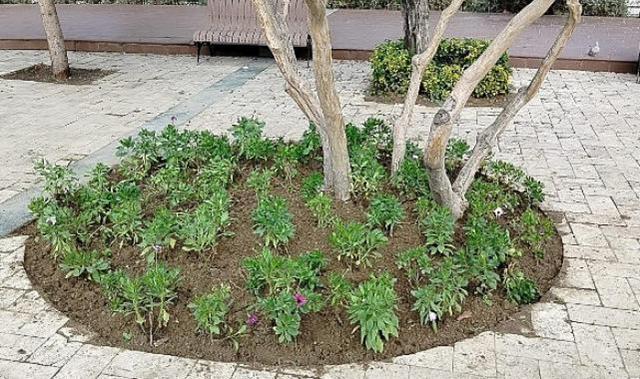 Büyükşehir’den Manisa’nın Yeşil Alanlarına Peyzaj Düzenlemesi