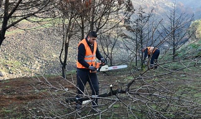 Çiğli Belediyesi Orman Yangınının İzlerini Silmek İçin Seferber Oldu
