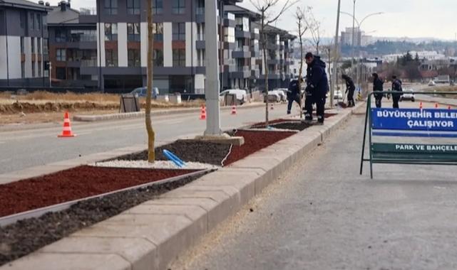 Eskişehir Büyükşehir’den ‘kuru peyzaj’ çalışması