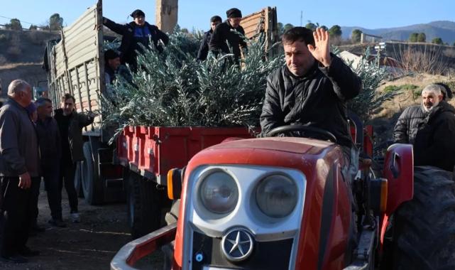 Eskişehir’de zeytincilik yaygınlaştırılacak… 17 bin Gemlik zeytin fidanı dağıtıldı