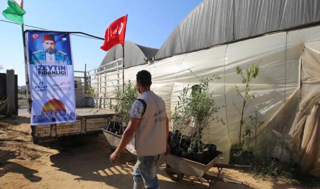 Genç Aktivistler’den Filistin’e 10 bin zeytin fidanı