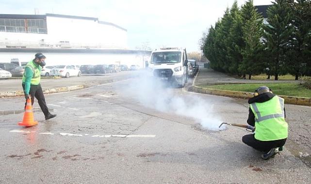 Haşereyle mücadeleye kışın da devam