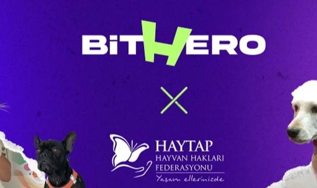 Haytap ve BitHero Kripto güçlerini birleştirdi