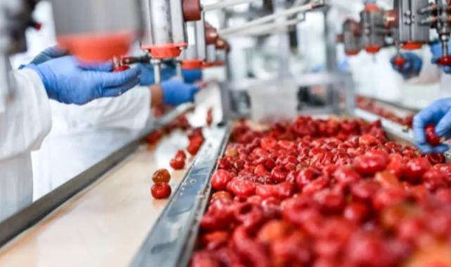 IPARD 3’te 105 projeye 527,1 milyon TL