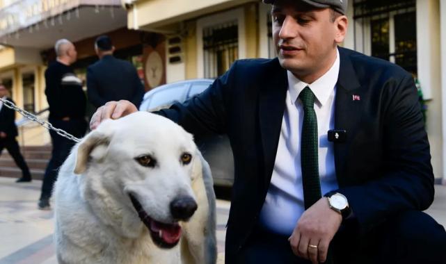 İzmir Bornova uyutmadı, sahiplendi