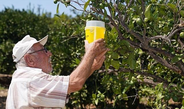 İzmir Büyükşehir Belediyesi çiftçiye umut oldu