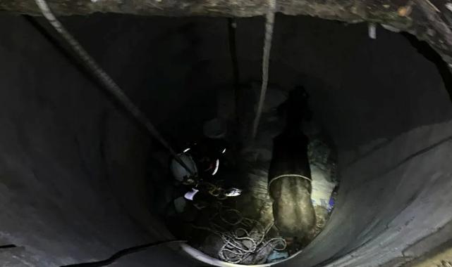 İzmir İtfaiyesi’nden ‘buzağı’ operasyonu!