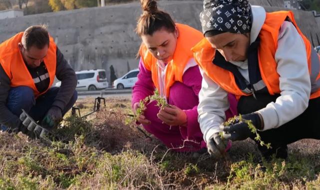 İzmir’de kuraklığa yeşil hamle!