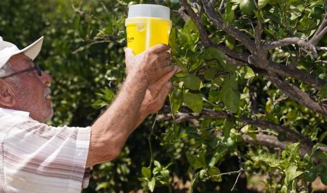 İzmir’den çiftçiye 270 milyon liralık destek