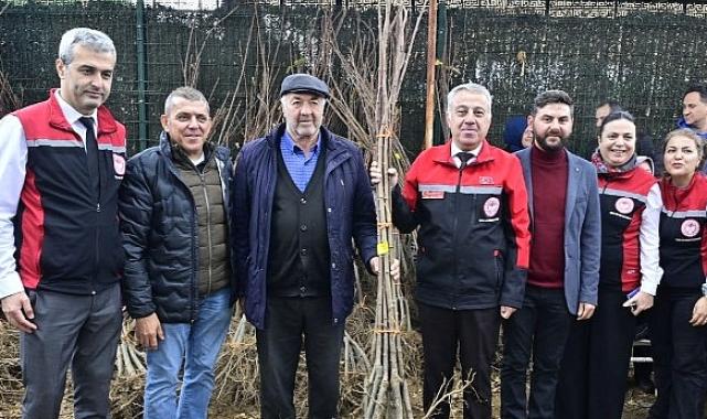 İzmirli Kestane Üreticilerine Kestane Gal Arısına Dayanıklı 2 bin 620 Fidan Dağıtıldı