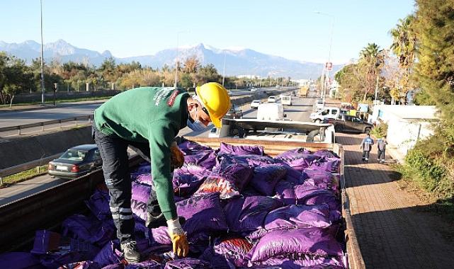 Kalitesiz kömürle mücadele sürüyor
