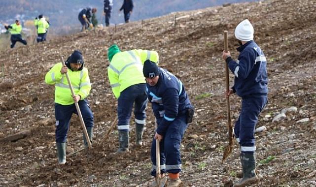 Kocaeli’de 4 bin ağaç toprakla buluşturuluyor