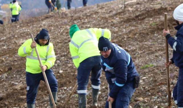 Kocaeli’de 4 bin ağaç toprakla buluşturuluyor