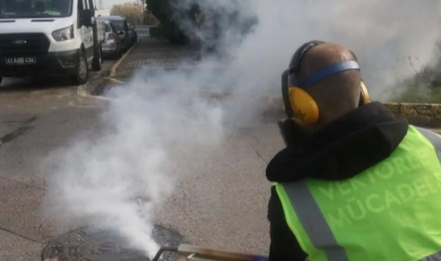 Kocaeli’nde haşereyle mücadeleye kışın da devam