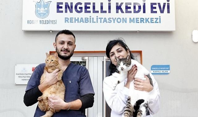 Konak’ın engelleri aşan Kedi Evi’nden sahiplenme çağrısı