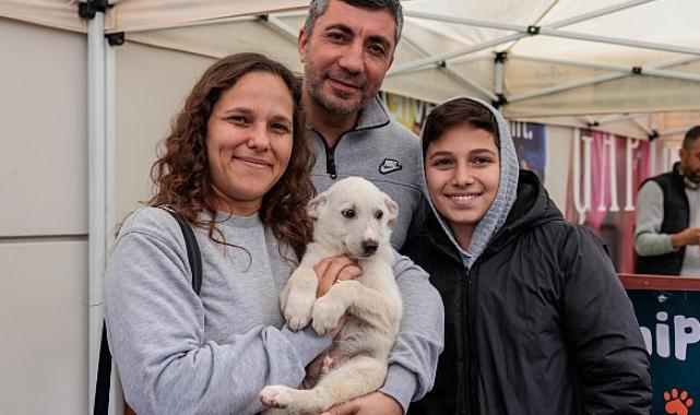 Konak’tan patili dostları sahiplendirme etkinliği: Yeni yıla sıcak yuvalarında girecekler