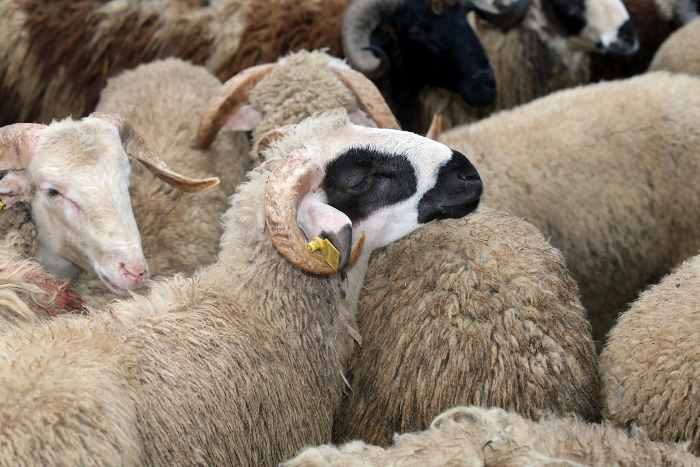 TÜDKİYEB 2025 yılı beklentilerini değerlendirdi