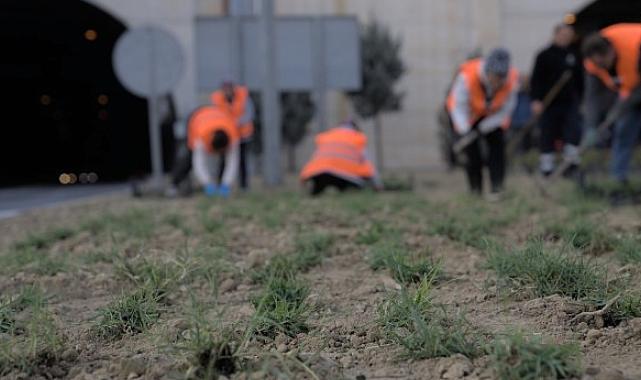 Kuraklığa karşı İzmir’in yeşil örtüsünde dönüşüm
