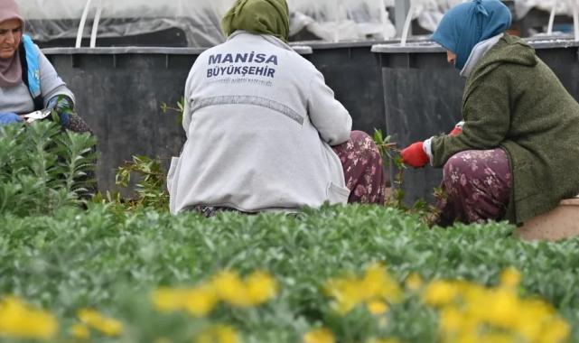 Manisa düşük su tüketimi olan bitkilerle güzelleştiriliyor