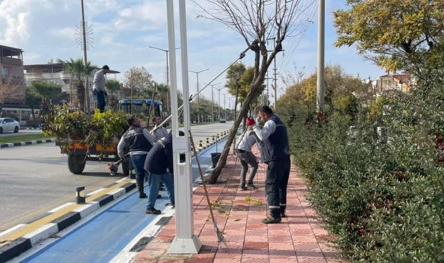 Manisa’da budama çalışmaları sürüyor