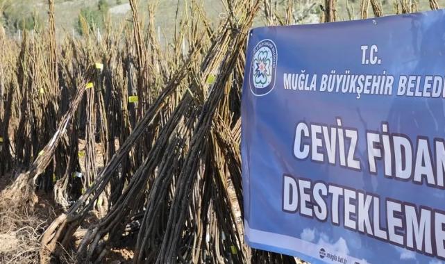 Muğla ‘her kapıda bir fidan’la toprağa sahip çıkıyor