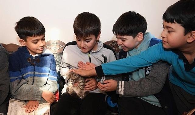 Öğrenciler bu kütüphanede hem kitap okuyor hem de kedileri seviyor