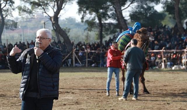 Pelitköy Deve Güreşleri İçin Geri Sayım Başladı