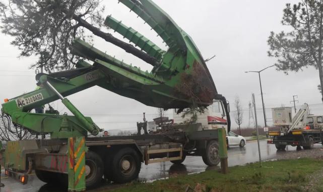 Sakarya Büyükşehir’den ‘yeşil’ hassasiyet