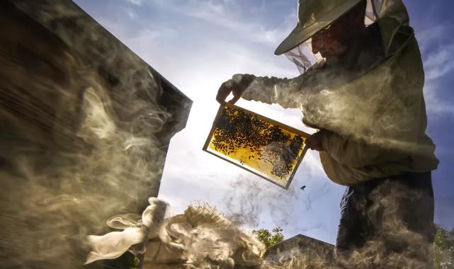 Sakarya’nın kadrajına girenler belli oldu