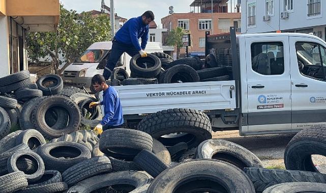 Sineklerin üreme alanı lastikler toplanıyor