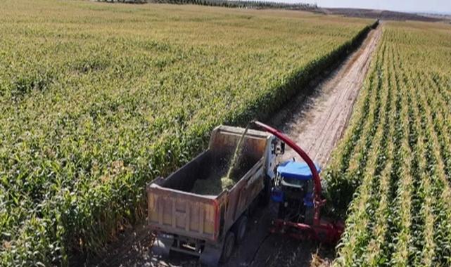 Ankara Büyükşehir yerli üreticinin yüzünü güldürdü